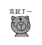 Big nose dog and fox bear-Life languages（個別スタンプ：17）