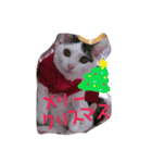 ハロー みるくここあ（個別スタンプ：2）