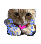 ハロー みるくここあ（個別スタンプ：4）