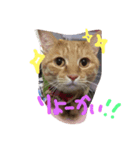 ハロー みるくここあ（個別スタンプ：5）