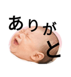 CHABITARO（個別スタンプ：4）
