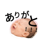 CHABITARO（個別スタンプ：5）