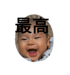 CHABITARO（個別スタンプ：12）