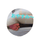 CHABITARO（個別スタンプ：32）