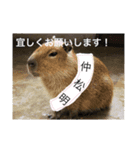 なかりょー2（個別スタンプ：4）