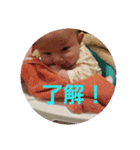 yama-fam（個別スタンプ：3）