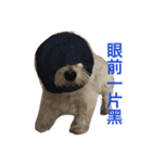 Xiao Wei is a cute dog（個別スタンプ：15）