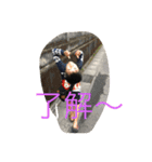 daimitsu2（個別スタンプ：1）