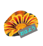 わすれなぐさ（個別スタンプ：1）