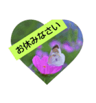 わすれなぐさ（個別スタンプ：3）