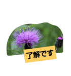 わすれなぐさ（個別スタンプ：4）