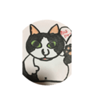 Cute Cat hina（個別スタンプ：6）