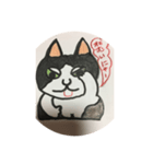 Cute Cat hina（個別スタンプ：7）