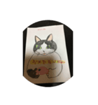 Cute Cat hina（個別スタンプ：8）