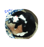 月(Luna)さん（個別スタンプ：4）
