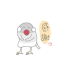 Kis Java sparrow（個別スタンプ：12）