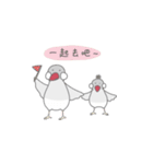 Kis Java sparrow（個別スタンプ：27）