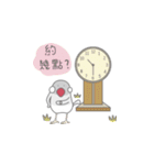 Kis Java sparrow（個別スタンプ：38）