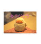 ころちゃん！（個別スタンプ：2）