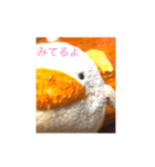 ころちゃん！（個別スタンプ：4）