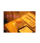 ころちゃん！（個別スタンプ：5）