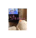ころちゃん！（個別スタンプ：6）