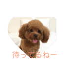 こはるとココ（個別スタンプ：8）