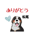 松尾さんが使う名前スタンプ・子犬イラスト（個別スタンプ：3）