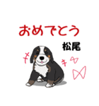 松尾さんが使う名前スタンプ・子犬イラスト（個別スタンプ：16）
