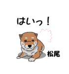 松尾さんが使う名前スタンプ・子犬イラスト（個別スタンプ：22）