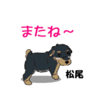松尾さんが使う名前スタンプ・子犬イラスト（個別スタンプ：23）