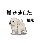 松尾さんが使う名前スタンプ・子犬イラスト（個別スタンプ：27）