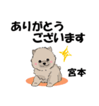 宮本さんが使う名前スタンプ・子犬イラスト（個別スタンプ：2）
