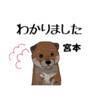 宮本さんが使う名前スタンプ・子犬イラスト（個別スタンプ：5）