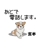 宮本さんが使う名前スタンプ・子犬イラスト（個別スタンプ：13）