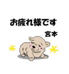 宮本さんが使う名前スタンプ・子犬イラスト（個別スタンプ：14）