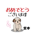宮本さんが使う名前スタンプ・子犬イラスト（個別スタンプ：15）
