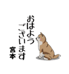 宮本さんが使う名前スタンプ・子犬イラスト（個別スタンプ：17）