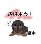 宮本さんが使う名前スタンプ・子犬イラスト（個別スタンプ：18）