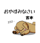 宮本さんが使う名前スタンプ・子犬イラスト（個別スタンプ：21）