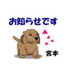 宮本さんが使う名前スタンプ・子犬イラスト（個別スタンプ：24）