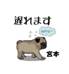 宮本さんが使う名前スタンプ・子犬イラスト（個別スタンプ：26）