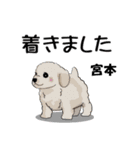 宮本さんが使う名前スタンプ・子犬イラスト（個別スタンプ：27）