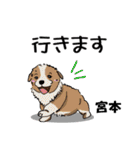宮本さんが使う名前スタンプ・子犬イラスト（個別スタンプ：30）