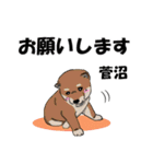 菅沼さんが使う名前スタンプ・子犬イラスト（個別スタンプ：1）