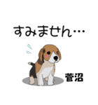 菅沼さんが使う名前スタンプ・子犬イラスト（個別スタンプ：10）