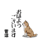 菅沼さんが使う名前スタンプ・子犬イラスト（個別スタンプ：17）
