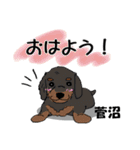 菅沼さんが使う名前スタンプ・子犬イラスト（個別スタンプ：18）