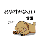 菅沼さんが使う名前スタンプ・子犬イラスト（個別スタンプ：21）