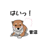 菅沼さんが使う名前スタンプ・子犬イラスト（個別スタンプ：22）
